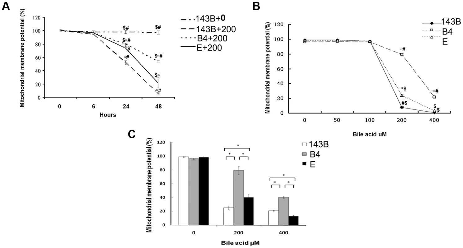 Time- and dose-dependent mitochondrial membrane potential in the parental 143B cells, and cybrid B4 and E cells in response to the bile acid treatment.