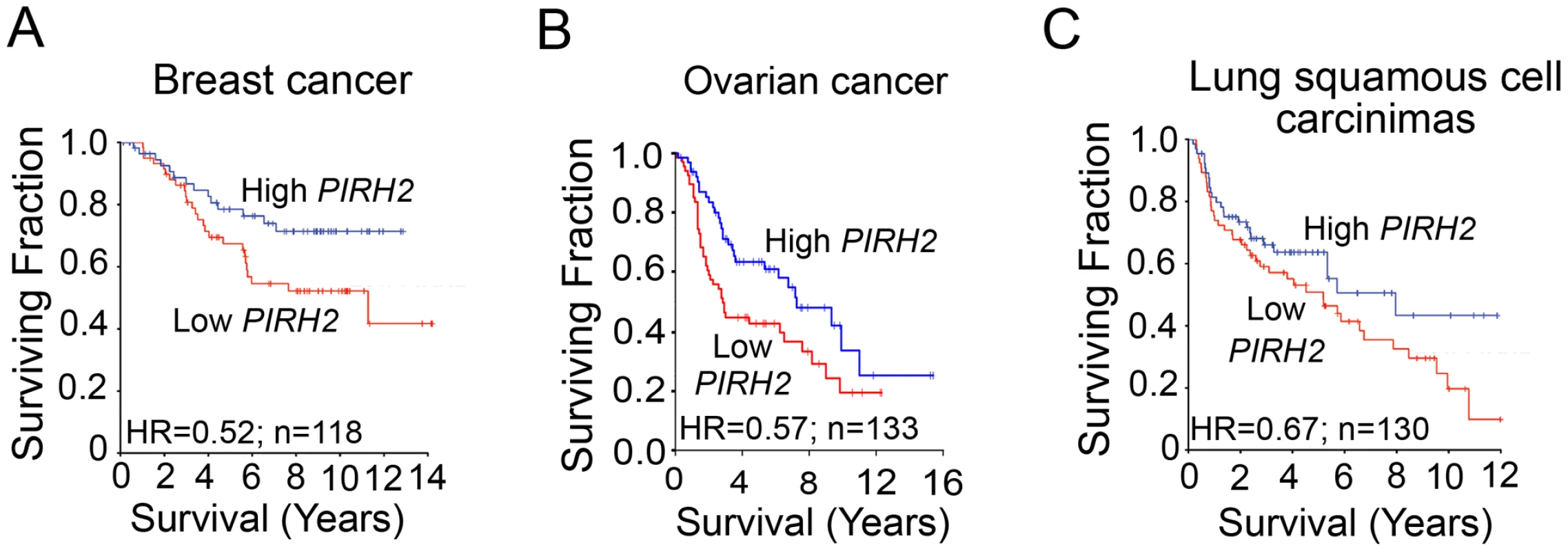Downregulation of PIRH2 Associates with Short-Term Survival of Patients with Breast Cancer, Ovarian Cancer, or Squamous Cell Carcinomas of the Lung.
