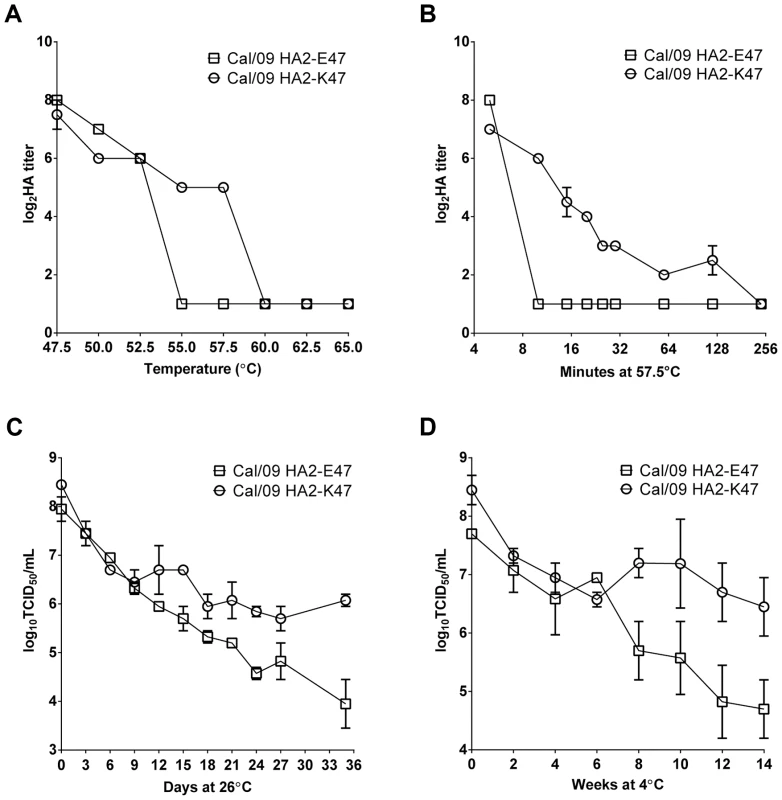The impact of HA2-47 on the thermal stability of H1N1pdm vaccine viruses.