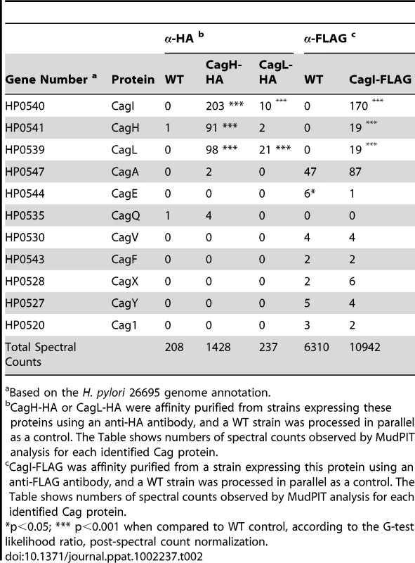 Cag proteins that co-purify with epitope-tagged CagH, CagI, and CagL.