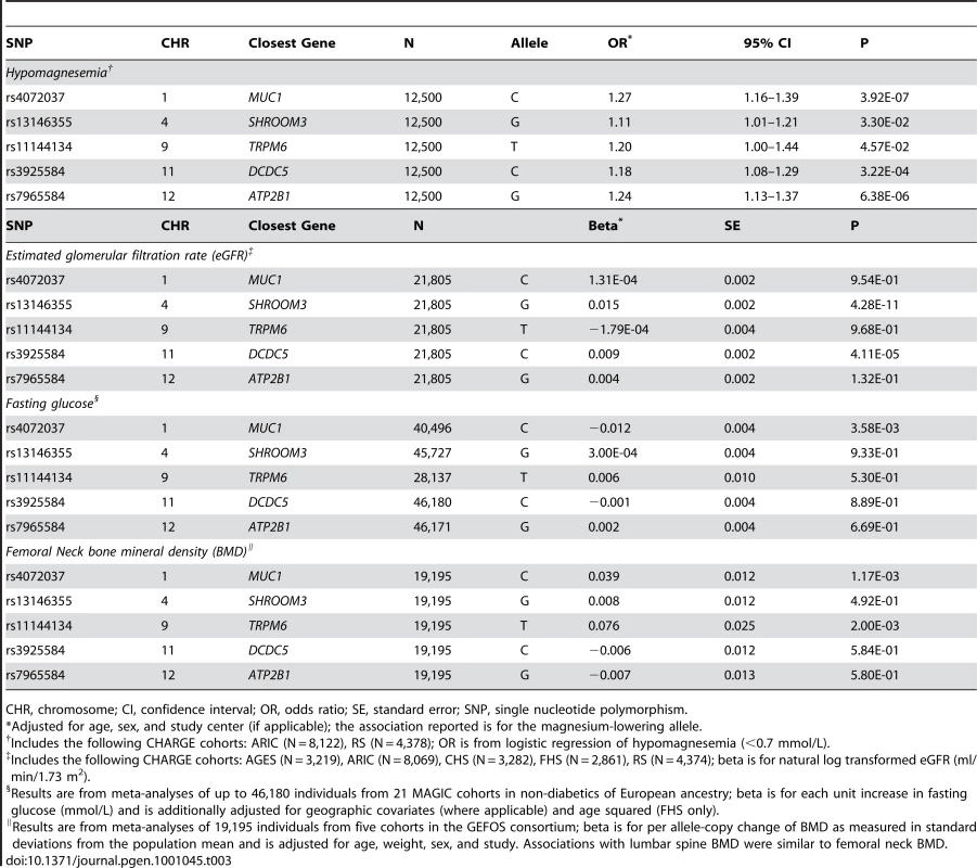Association between hypomagnesemia, estimated glomerular filtration rate, fasting glucose, and bone mineral density with the lead replicated SNPs showing genome-wide significant associations with serum magnesium concentrations.
