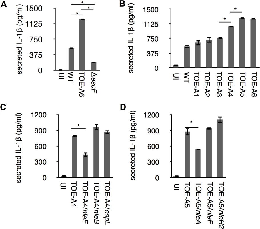 Identification of NleA and NleE as inhibitors of host IL-1β secretion.
