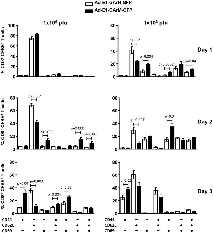 T cell activation is influenced by differentially translated EBNA1 mRNAs.
