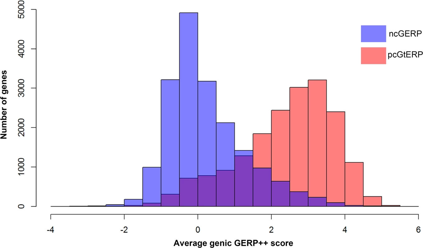 Overlaid histograms of ncGERP (blue) and pcGERP (red).