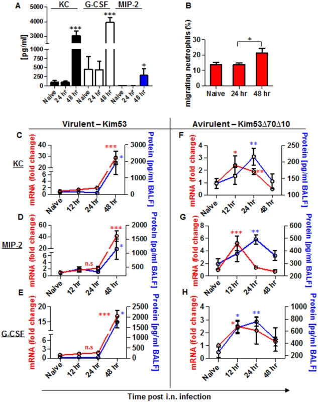 Expression of inflammatory signals involved in neutrophil chemotaxis in the blood and lungs of mice infected i.n. with <i>Y</i>. <i>pestis</i> strains.