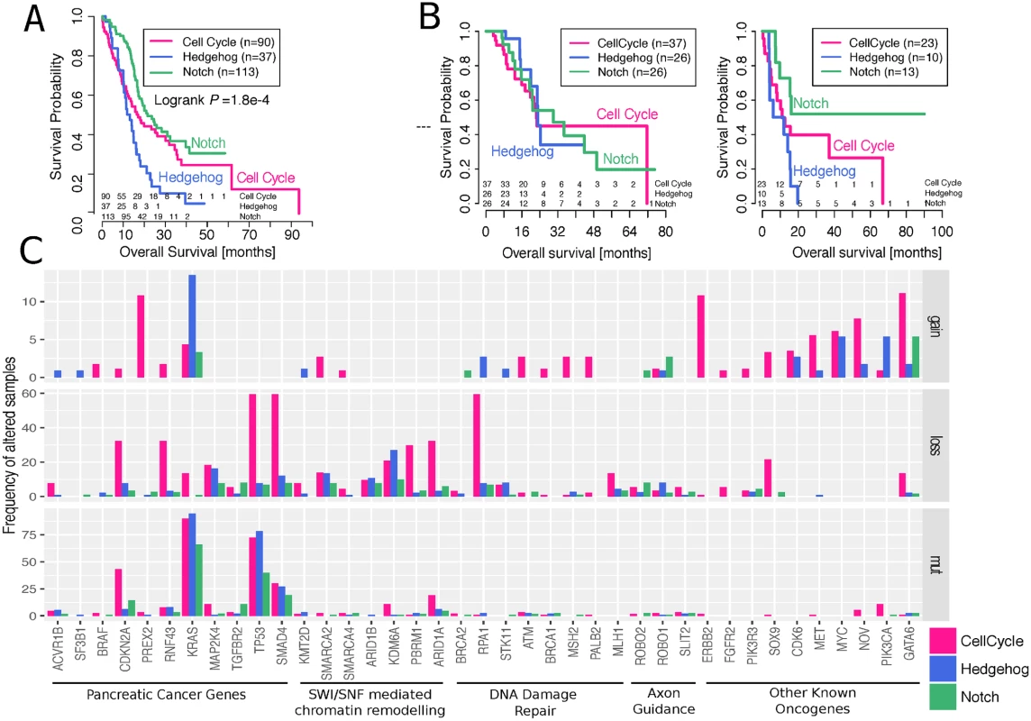 Differences in survival and mutational burden between subtypes.