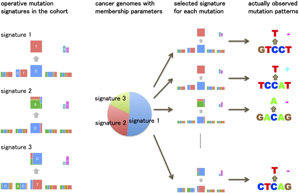 An overview of the generative model of somatic mutations proposed in this paper.