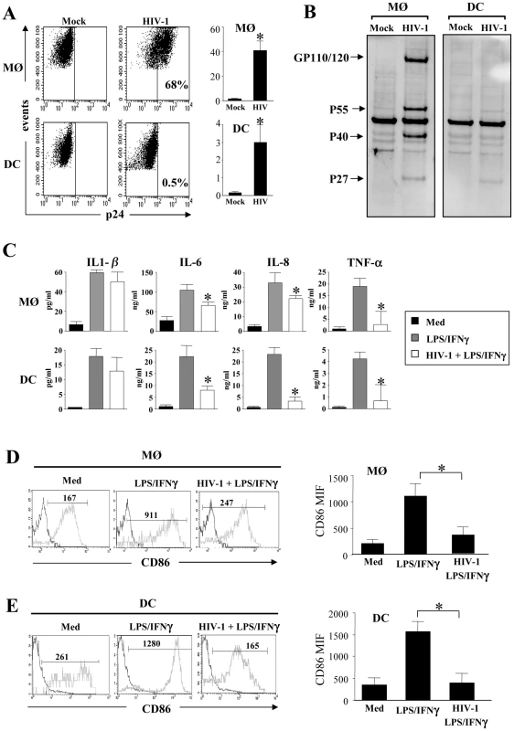 Impact of HIV infection on cytokine secretion and maturation of monocyte-derived macrophages and monocyte-derived DCs.
