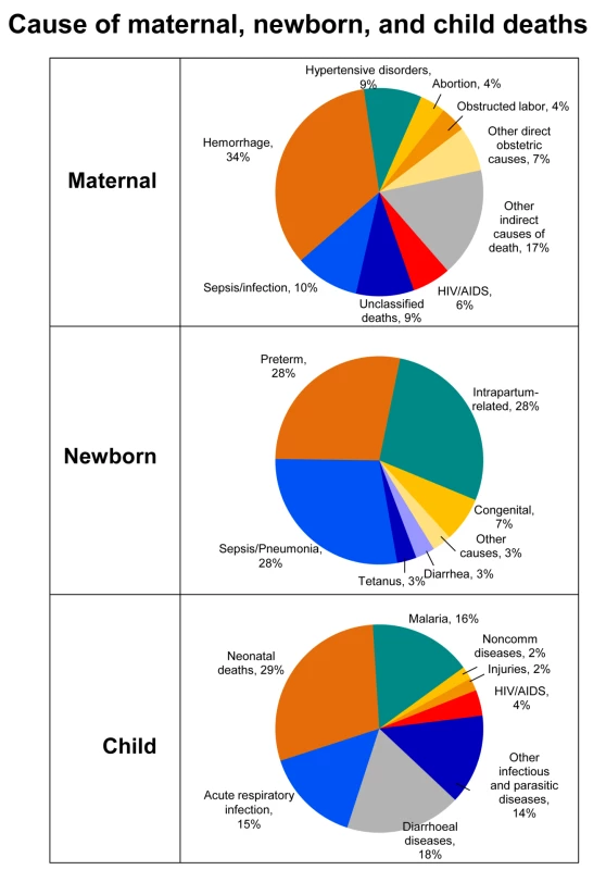 Causes of maternal, newborn, and child deaths in sub-Saharan Africa.