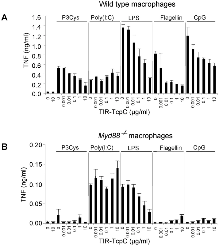 Inhibitory effects of the soluble TcpC TIR-domain on TLR signaling in murine macrophages.