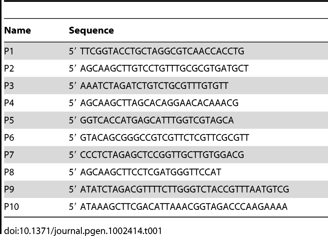 List of oligonucleotides used in this study.