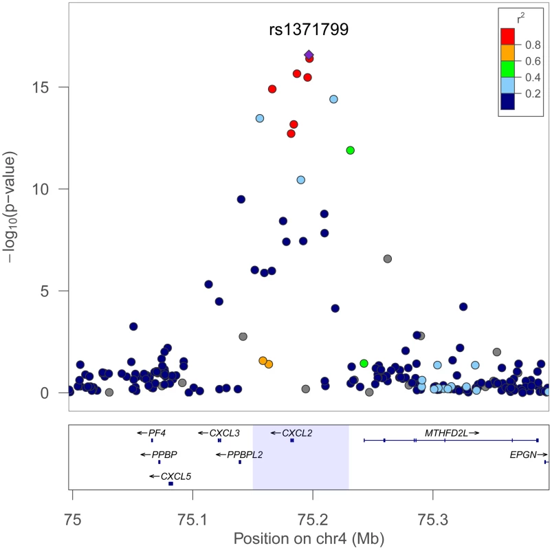 Trans-population meta-analysis results for total WBC count at the chromosome 4q13 <i>CXCL2</i> locus.