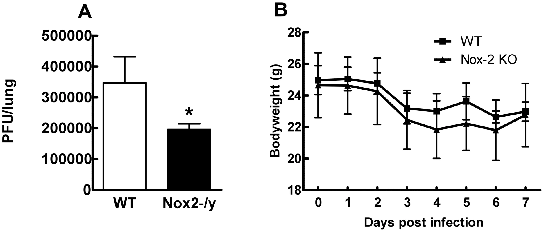 Effect of H3N2 (X-31) influenza A virus infection on viral titer and body weight in wild type (WT) and Nox2<sup>−/y</sup> mice.