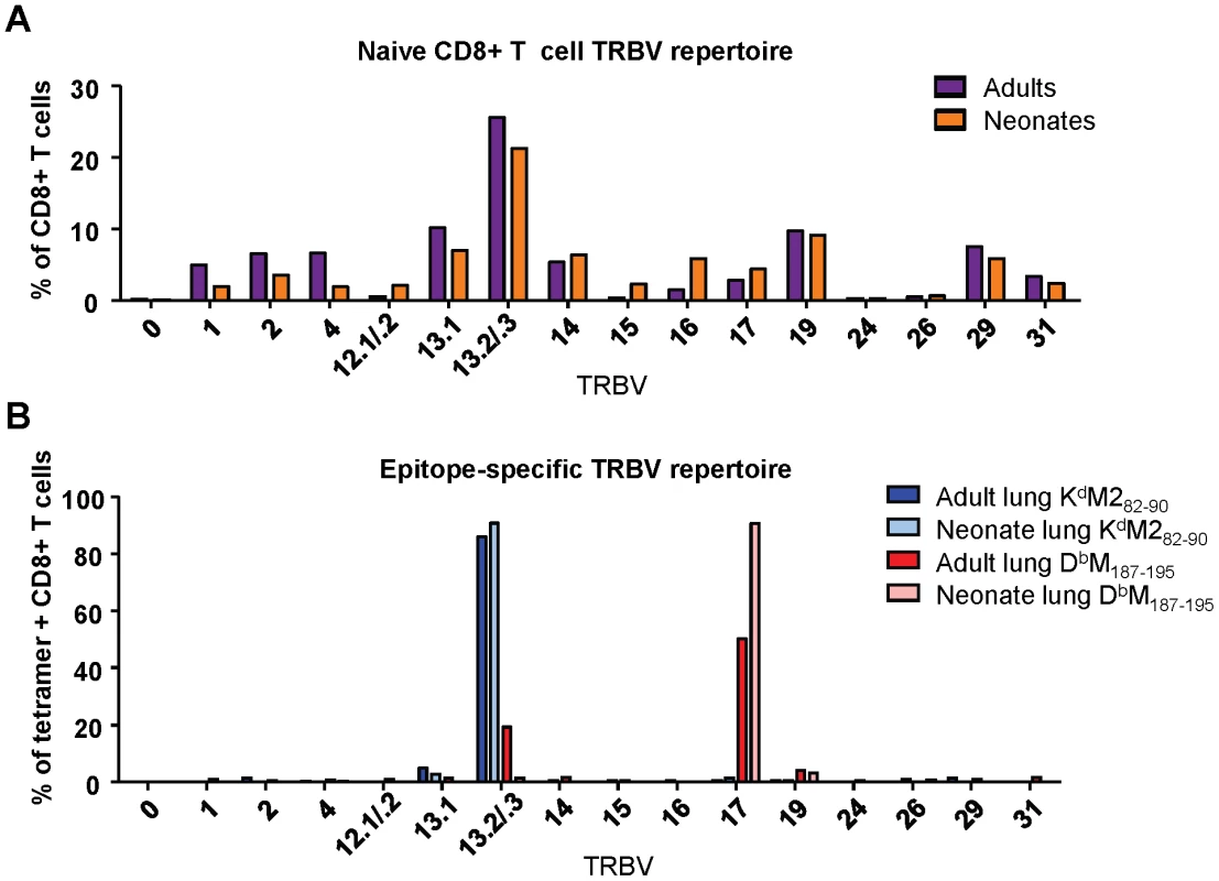 TCR Vβ screening of naïve and epitope-specific CD8+ T cells in adult and neonatal mice.