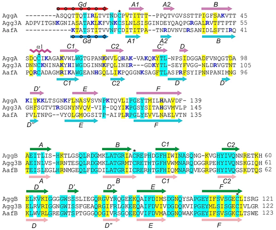 Sequence alignment of the major (AggA, AafA and Agg3A) and minor (AggB, AafB and Agg3B) subunits of aggregative adherence fimbriae (AAF) type I, II and III.