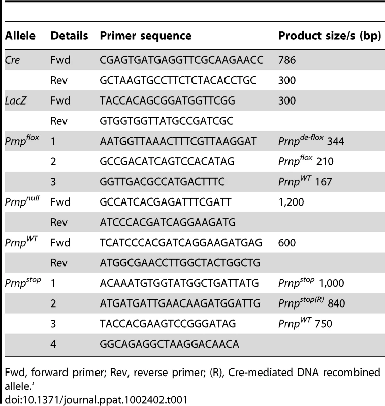 PCR primers used to confirm the genotypes of mice used in this study.