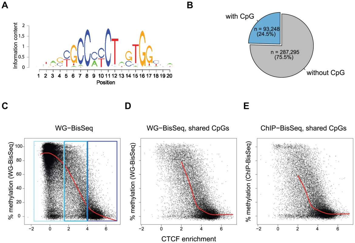 Relationship between binding strength and DNA methylation within the CTCF motif.