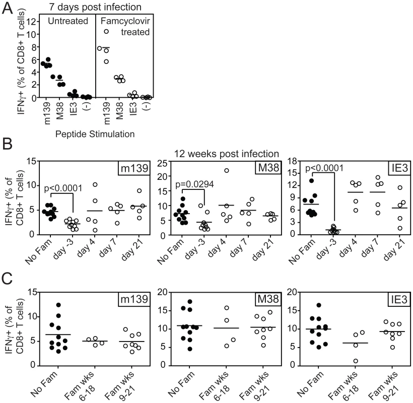 Inhibiting viral replication with famcyclovir does not reduce the size of virus-specific T cell populations.