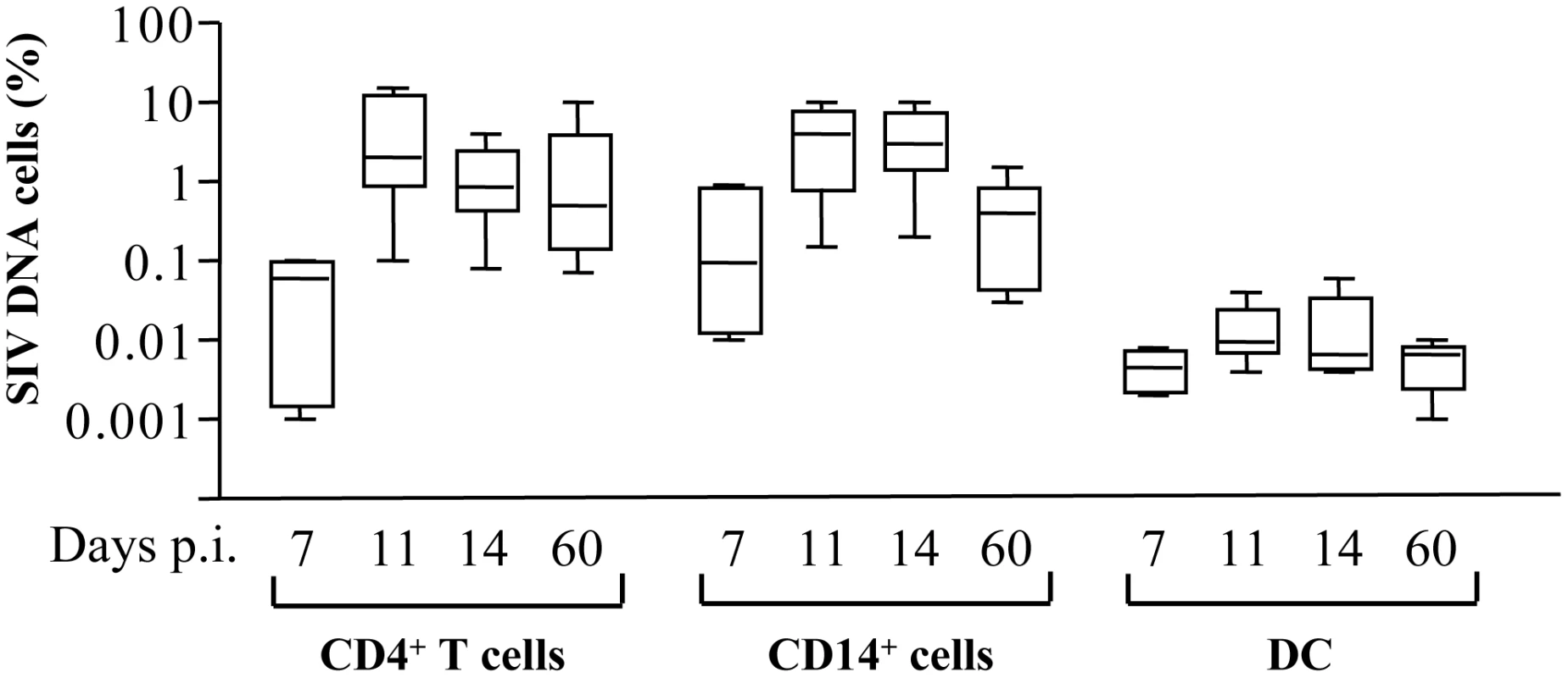 Frequency of SIV-DNA<sup>+</sup> cells in SIV-infected macaques.