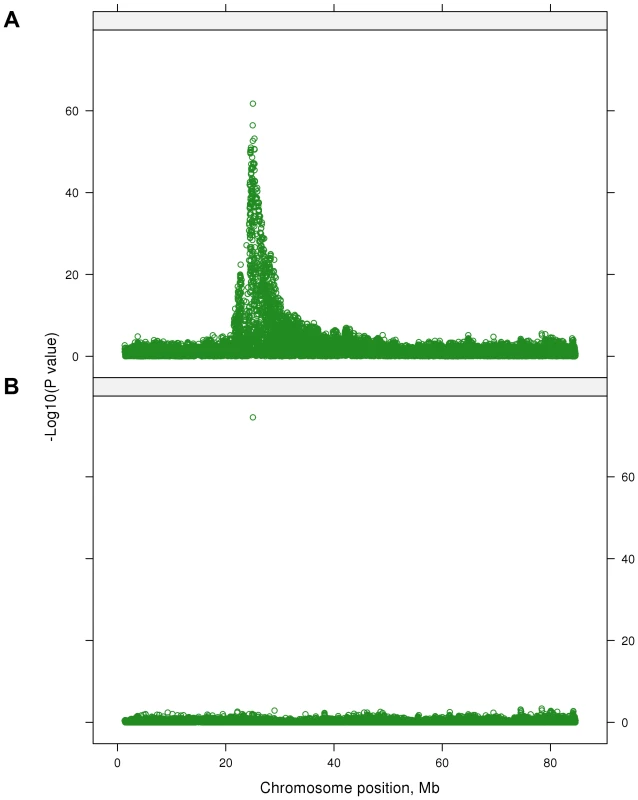 The −log<sub>10</sub>(<i>P</i>-values) of the multi-trait test calculated using SNP effects from the single-trait GWAS for 32 traits on BTA 14 before (A) and after (B) fitting 28 lead SNPs in the model.