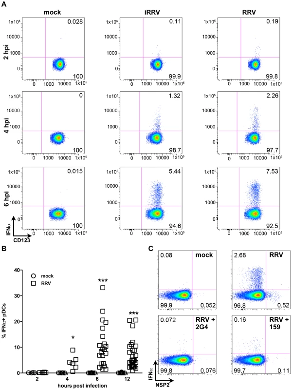 Intracellular production of IFNα by pDCs after exposure to live or inactivated RRV.