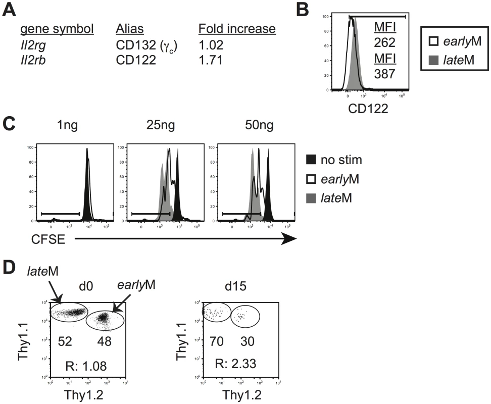 Sensitivity to IL-15 and ability to undergo homeostatic proliferation for CD62Lhi memory changes with time.