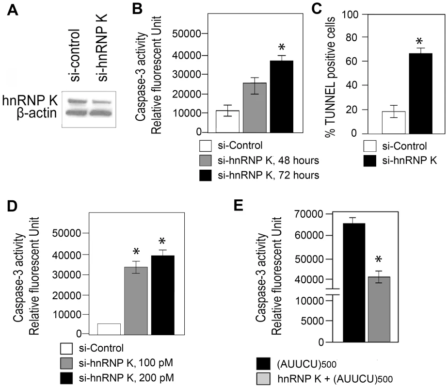 Targeted inactivation of <i>hnRNP K</i> triggers apoptosis whereas ectopic expression of hnRNP K rescues AUUCU–mediated apoptosis.