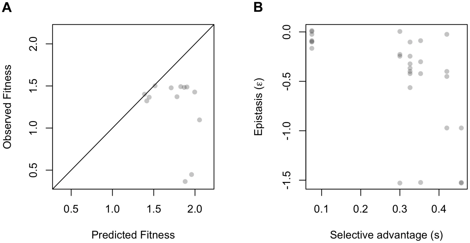 Epistasis at the level of expression phenotypes and fitness relative to independence or kinetic model.