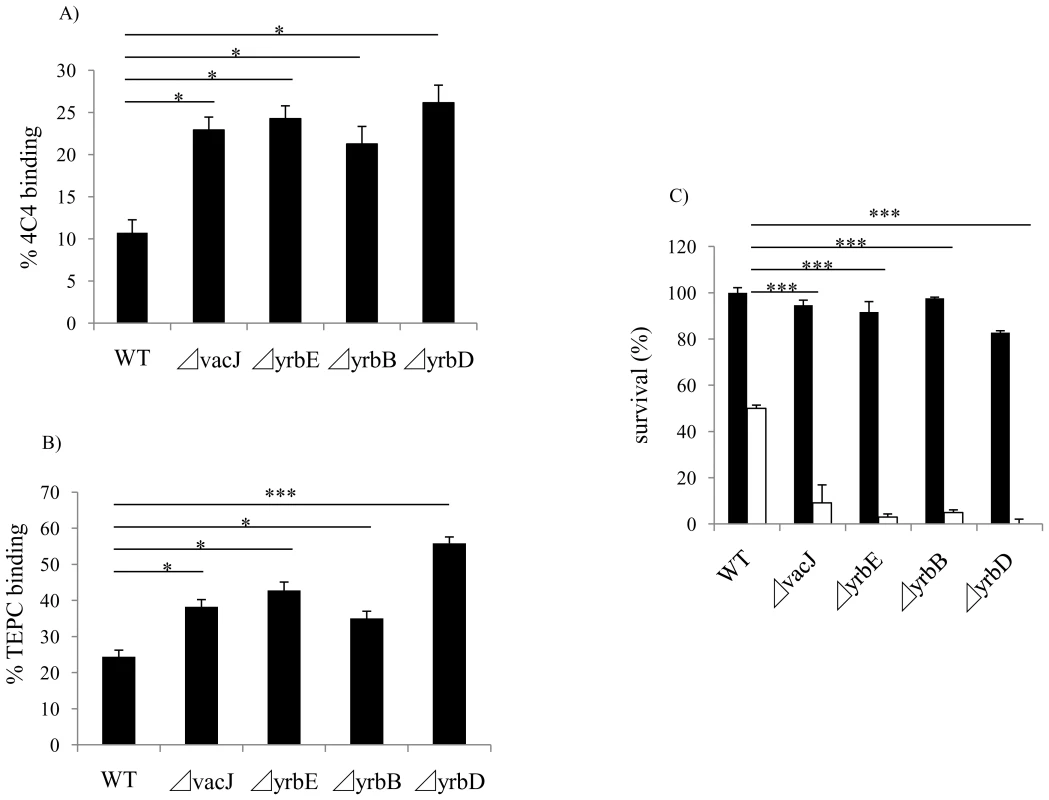 Effect of <i>vacJ</i> and <i>yrb</i> mutants on antibody binding and bactericidal activity.