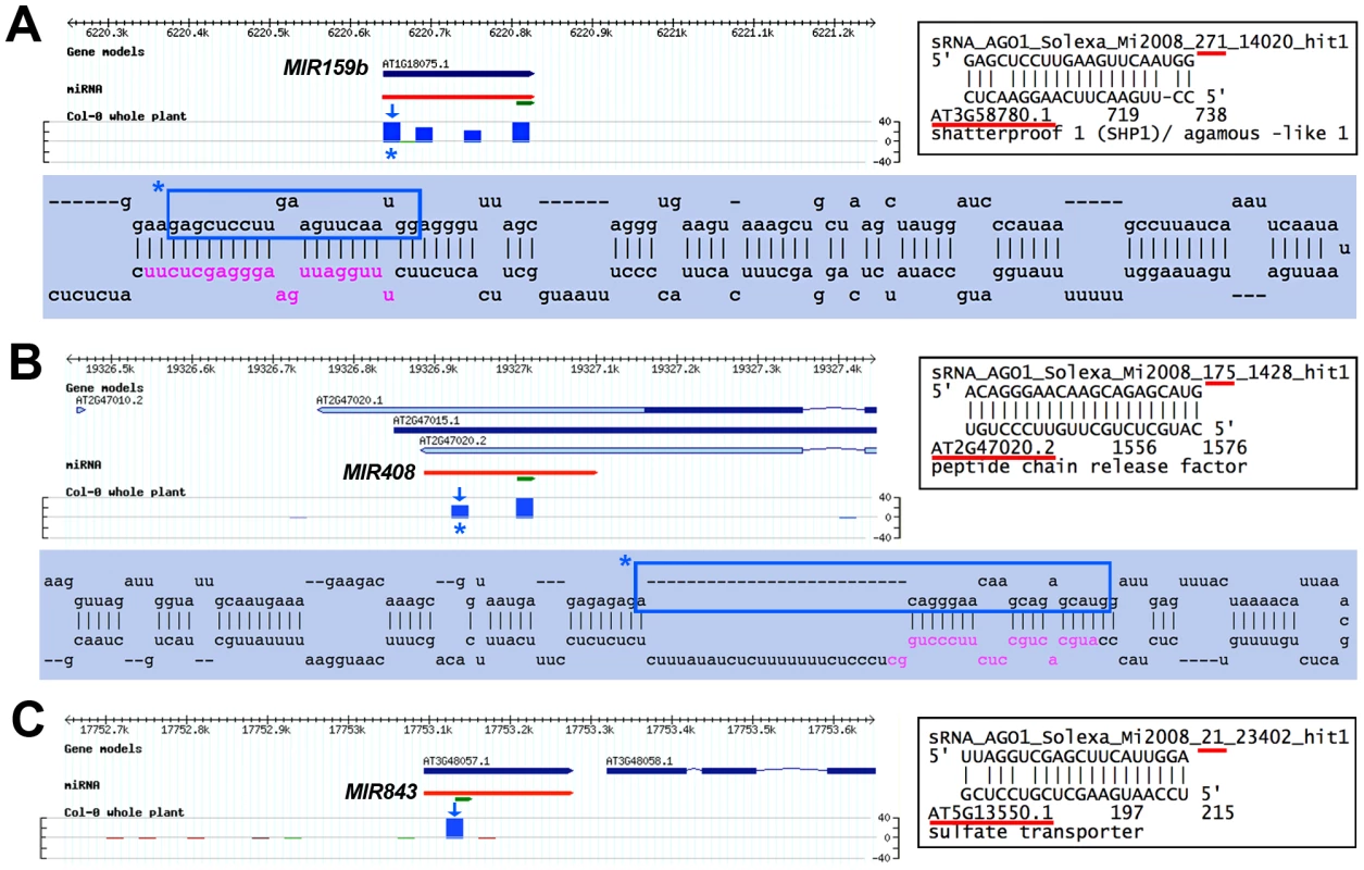 Using the AGO1-IP read filter in conjunction with VSR microarray data uncovers possibly novel miRNA* and orphan miRNA target transcripts whose accumulation is altered by VSRs.