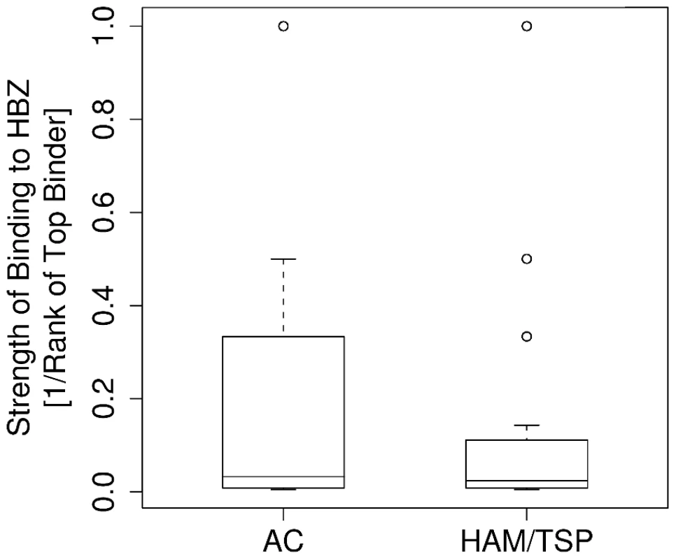 The strength of binding of the HLA class I alleles of asymptomatic carriers and HAM/TSP patients to HBZ.