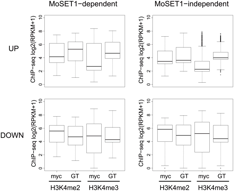 Comparisons of H3K4 methylation dynamics during germination tube formation between MoSET1-dependent and -independent gene sets.