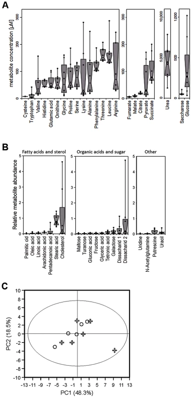 Metabolite composition of nasal secretions in <i>S. aureus</i> carriers and non-carriers.