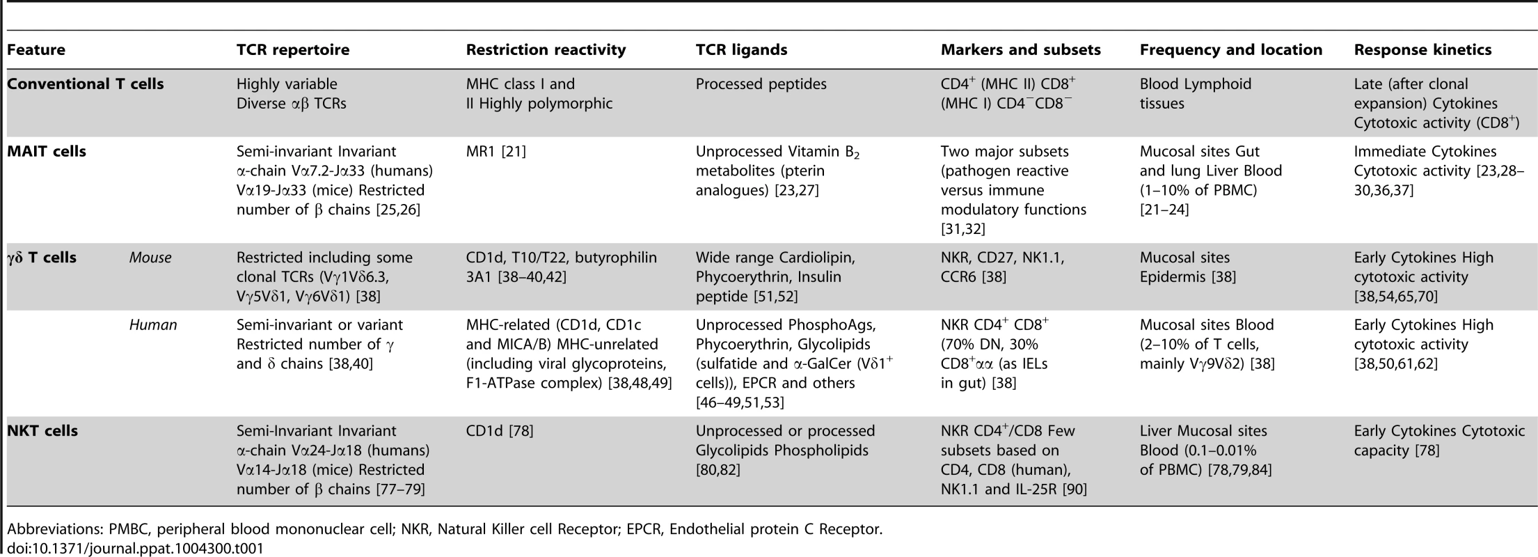 Differences between conventional T cells and non-conventional T cells.