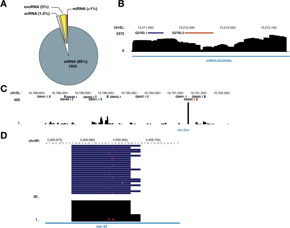 Transcriptome-wide identification of SmD1-associated RNAs.