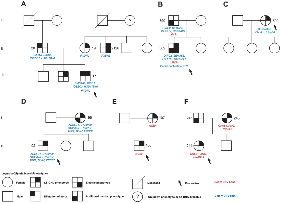 Selected segregation patterns of CNVs in LS-CHD pedigrees.