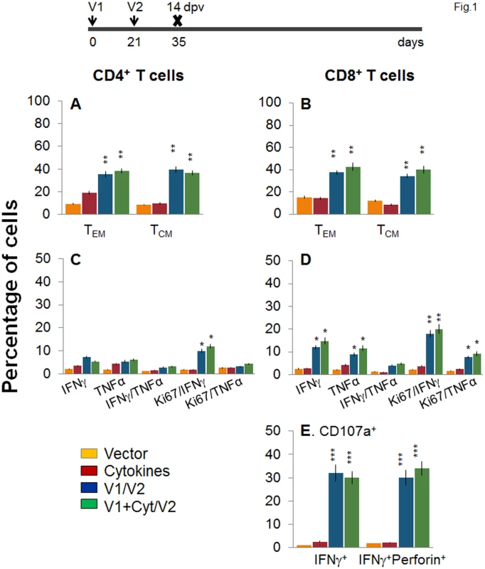 Two-component, DNA-prime/protein-boost (D/P) vaccine elicits poly-functional T cell response in mice.