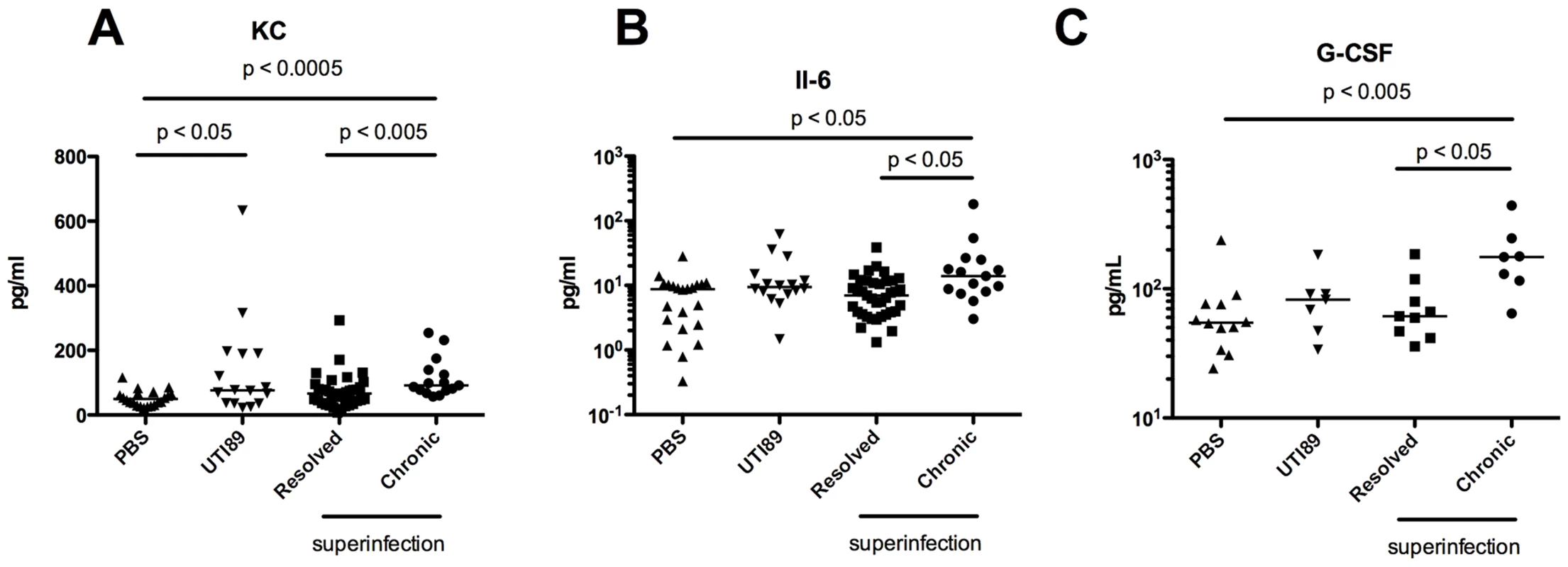 Serum cytokine signature of C57BL/6J mice with persistent bacteriuria.