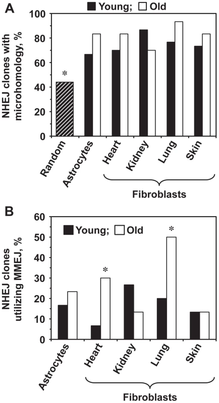 Old heart and lung fibroblasts show increased use of MMEJ.