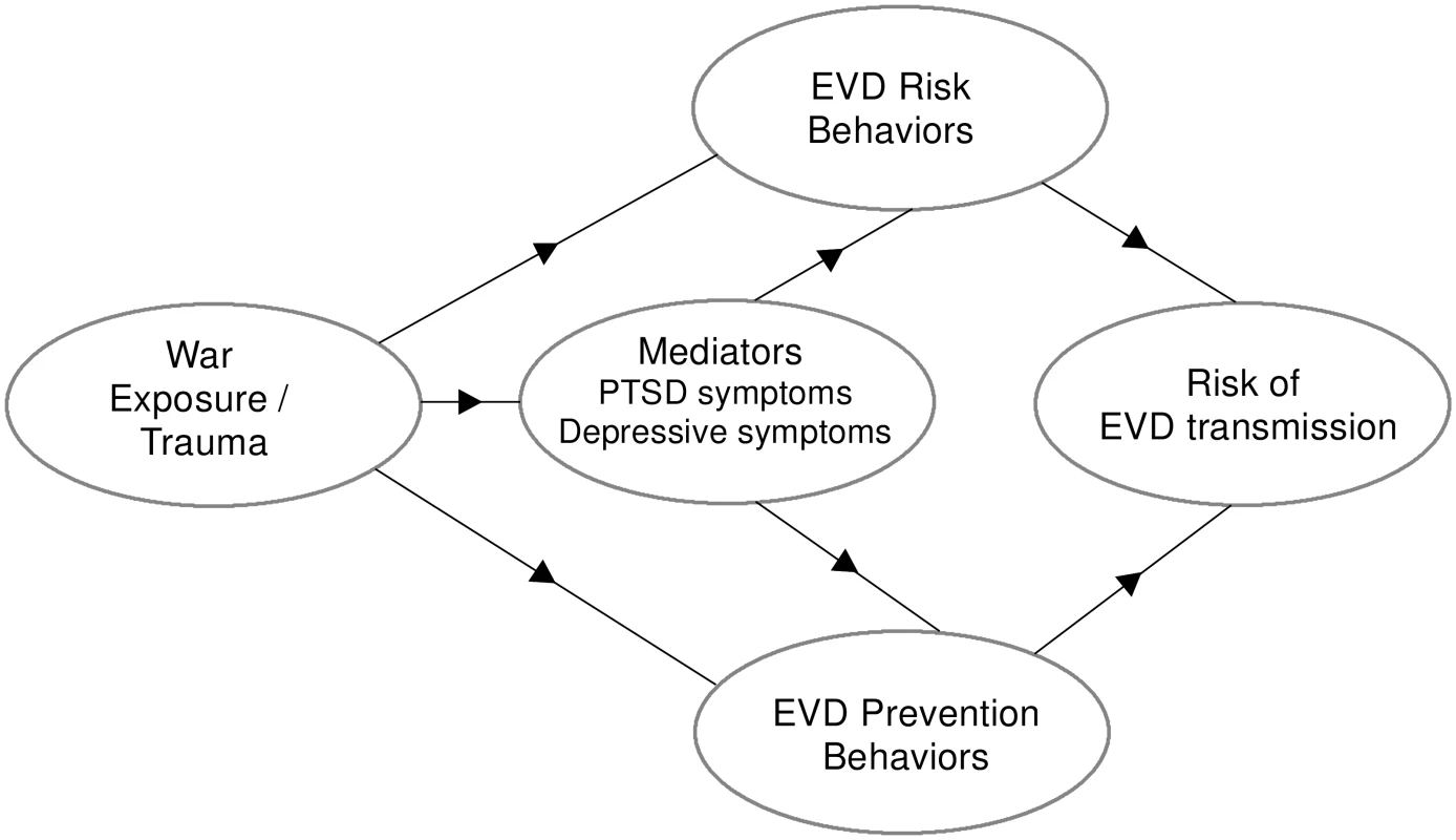 Conceptual model for war exposures, mental health, and EVD-related behaviors.