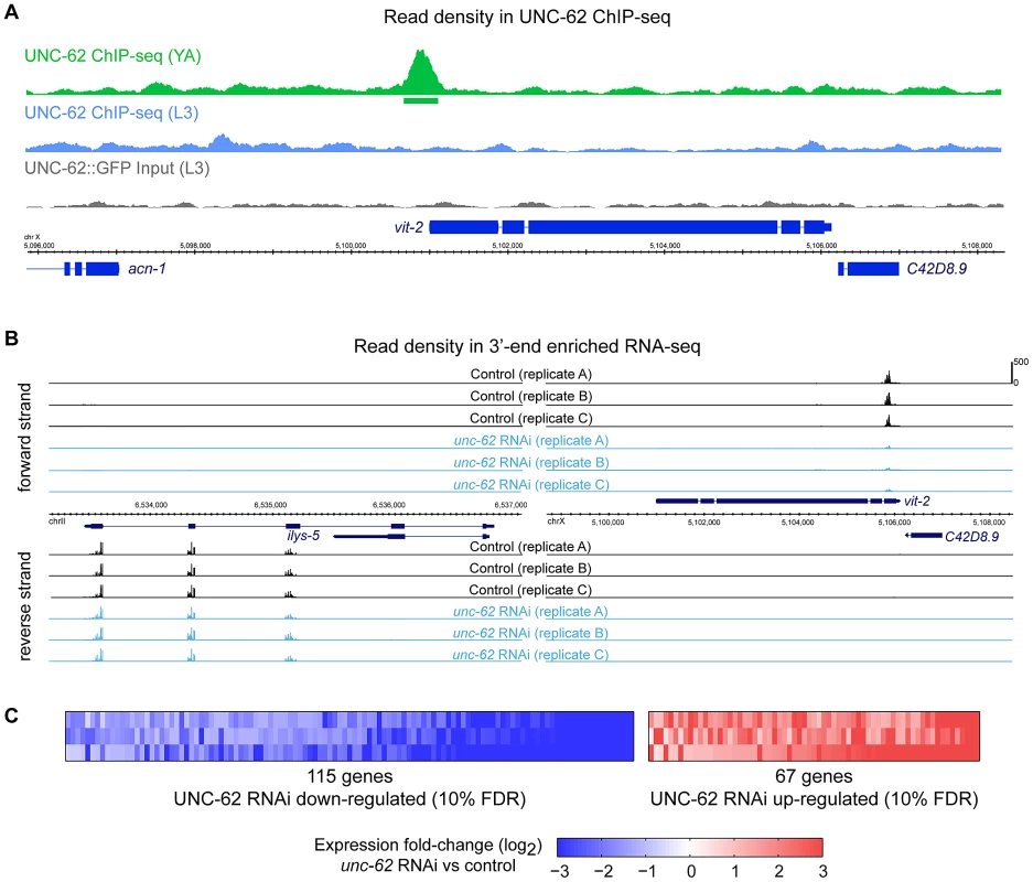 Identification of direct and regulated targets of UNC-62 in adults by ChIP–seq and RNA–seq.
