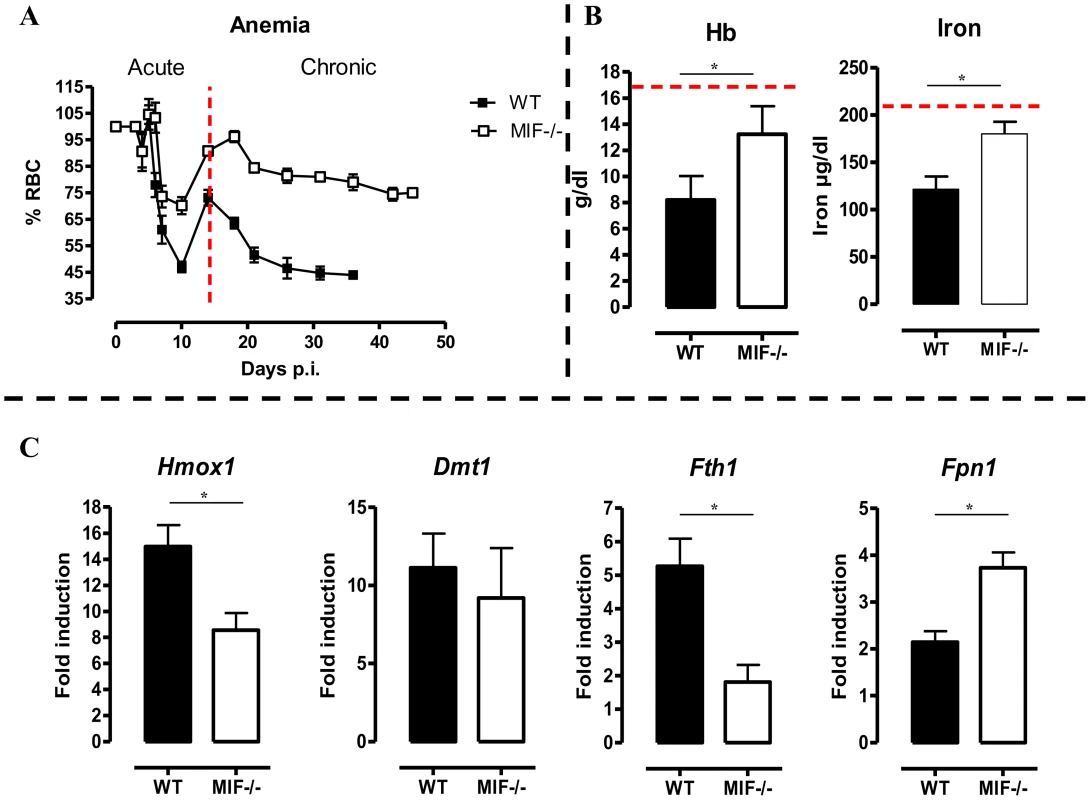 MIF deficiency correlates with reduced anemia, restored hemoglobin/serum iron levels and restored iron homeostasis during <i>T. brucei</i> infection.