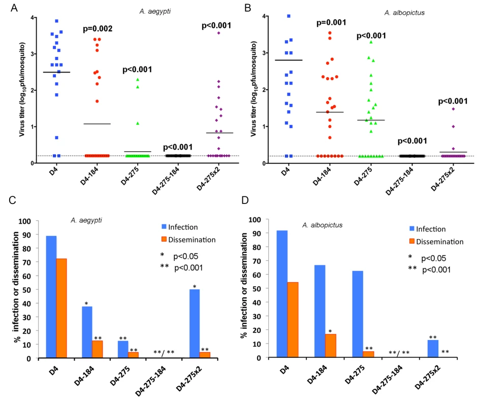 Effect of combined mir-184 and mir-275 co-targeting of DEN4 genome in the 3’NCR on virus fitness in A. aegypti <i>and</i> A. albopictus.