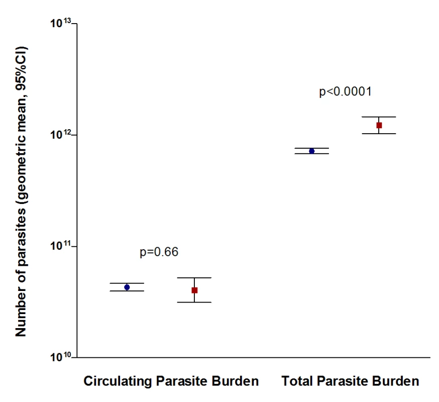 Comparison of circulating parasite burden and total parasite burden between surviving (blue circles, n = 3,070) and fatal (red squares, n = 327) cases.