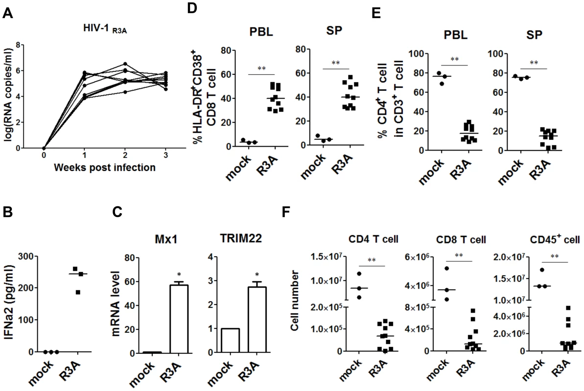 HIV-1 replication and pathogenesis in HIV-1-infected humanized mice.