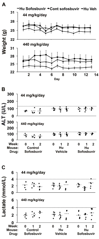Sofosbuvir does not cause liver toxicity in TK-NOG mice with humanized livers.