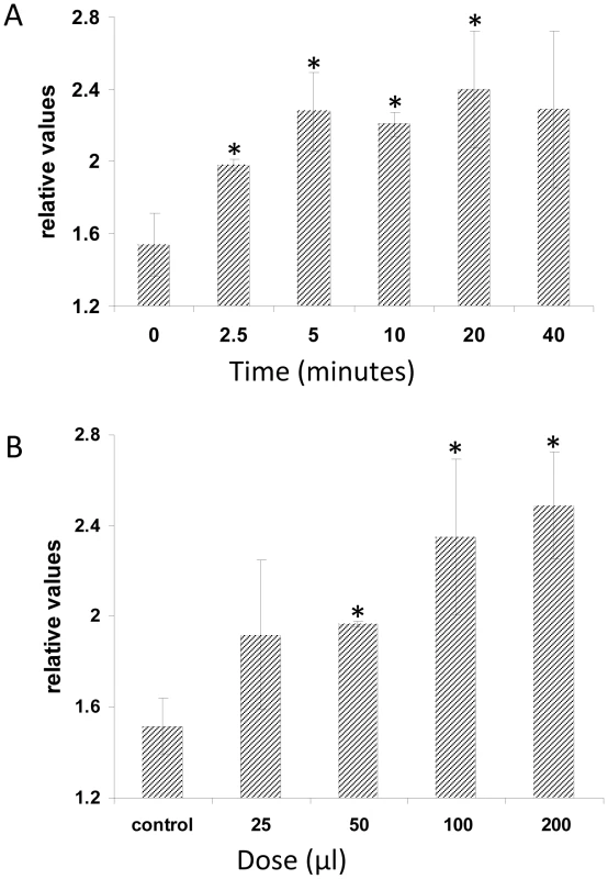 Plant PA levels increase in response to treatment with <i>P. indica</i> exudate.