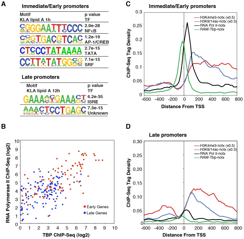 Differential use of signal-dependent transcription factors and TBP in I/E and late promoters.