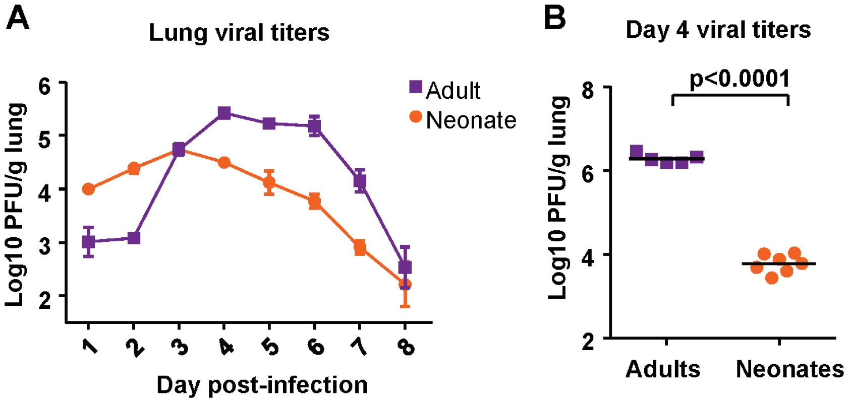 Viral titer kinetics in RSV-infected adult and neonatal mice.