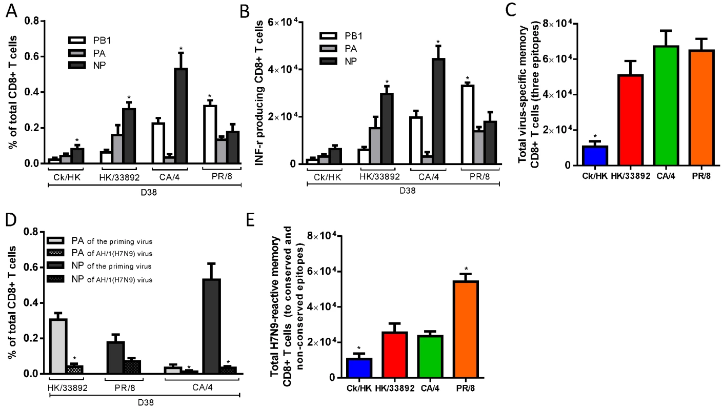The prevalence of epitope-specific CTL memory cells after primary infection with the H9N2 and H1N1 IAVs.